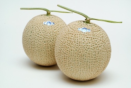長生マスクメロン２玉（約3.5kg）【2026年夏発送分】