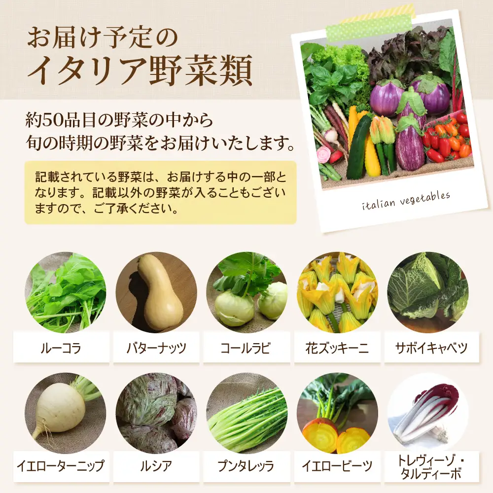 野菜 かほくイタリア野菜 旬のおまかせBOX 5-8種 野菜