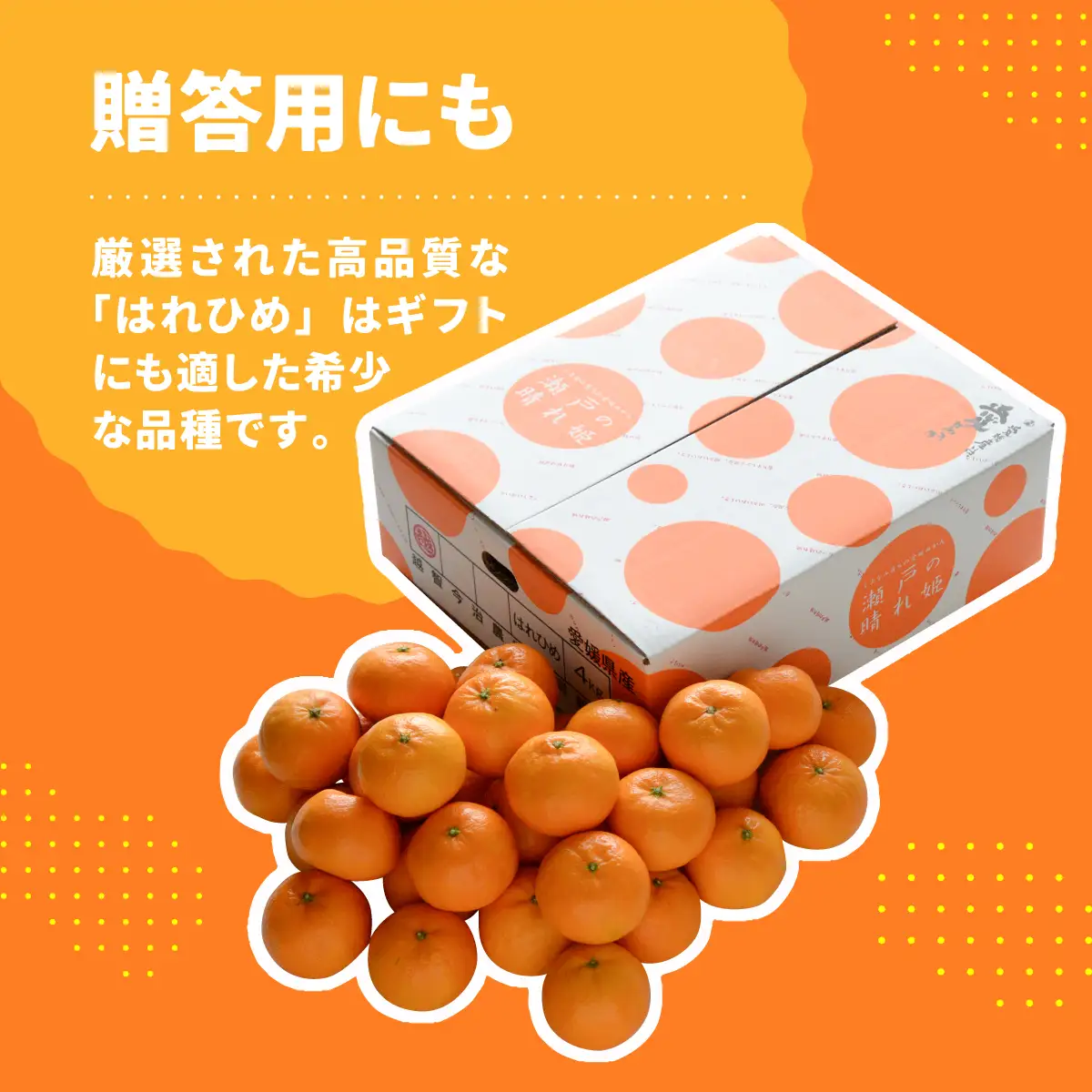 みかん 【先行受付】瀬戸の晴れ姫　2L～Sサイズ　4kg(25～60玉)　愛媛県