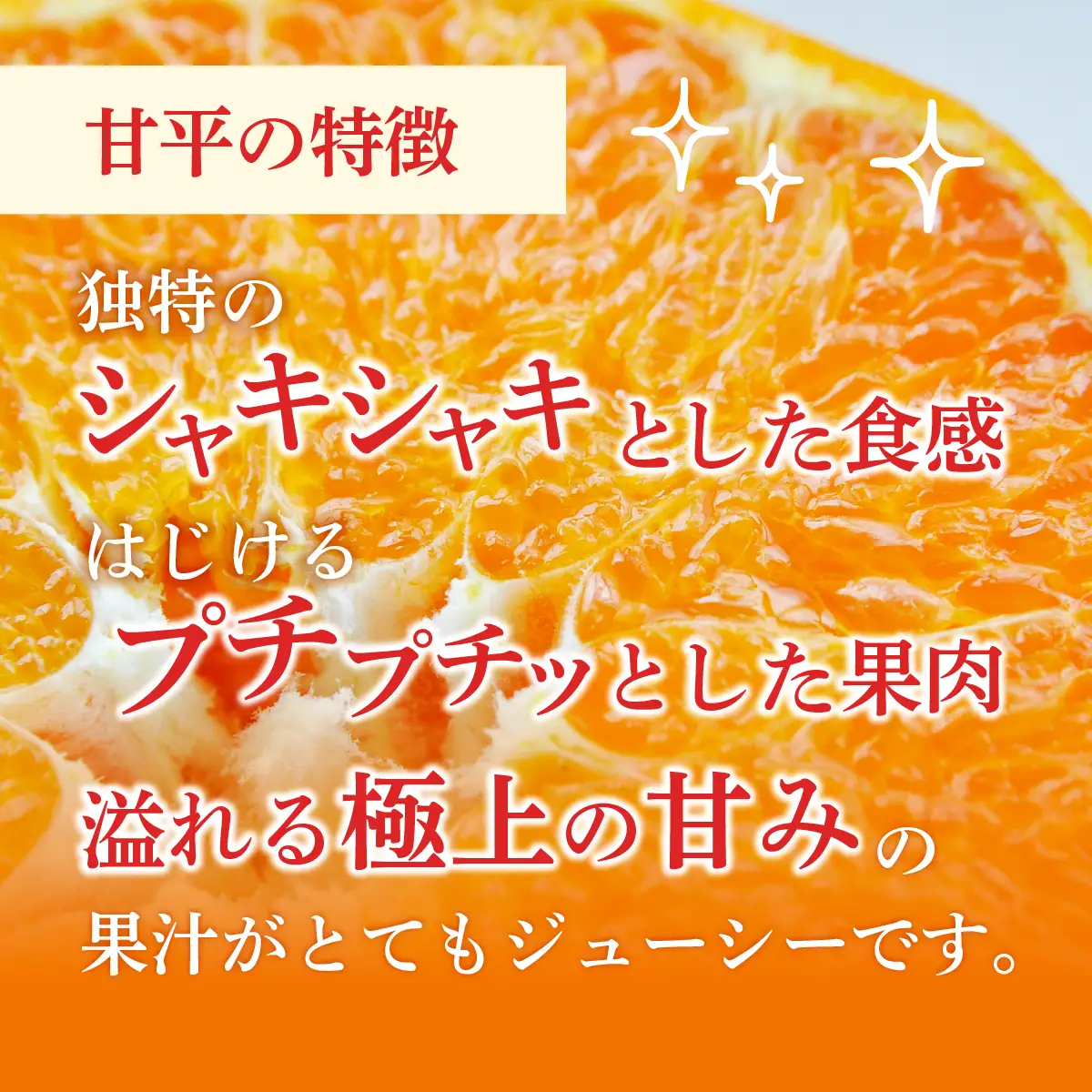 【先行受付】甘平 化粧箱 4L～2Lサイズ 8～12玉 贈答用