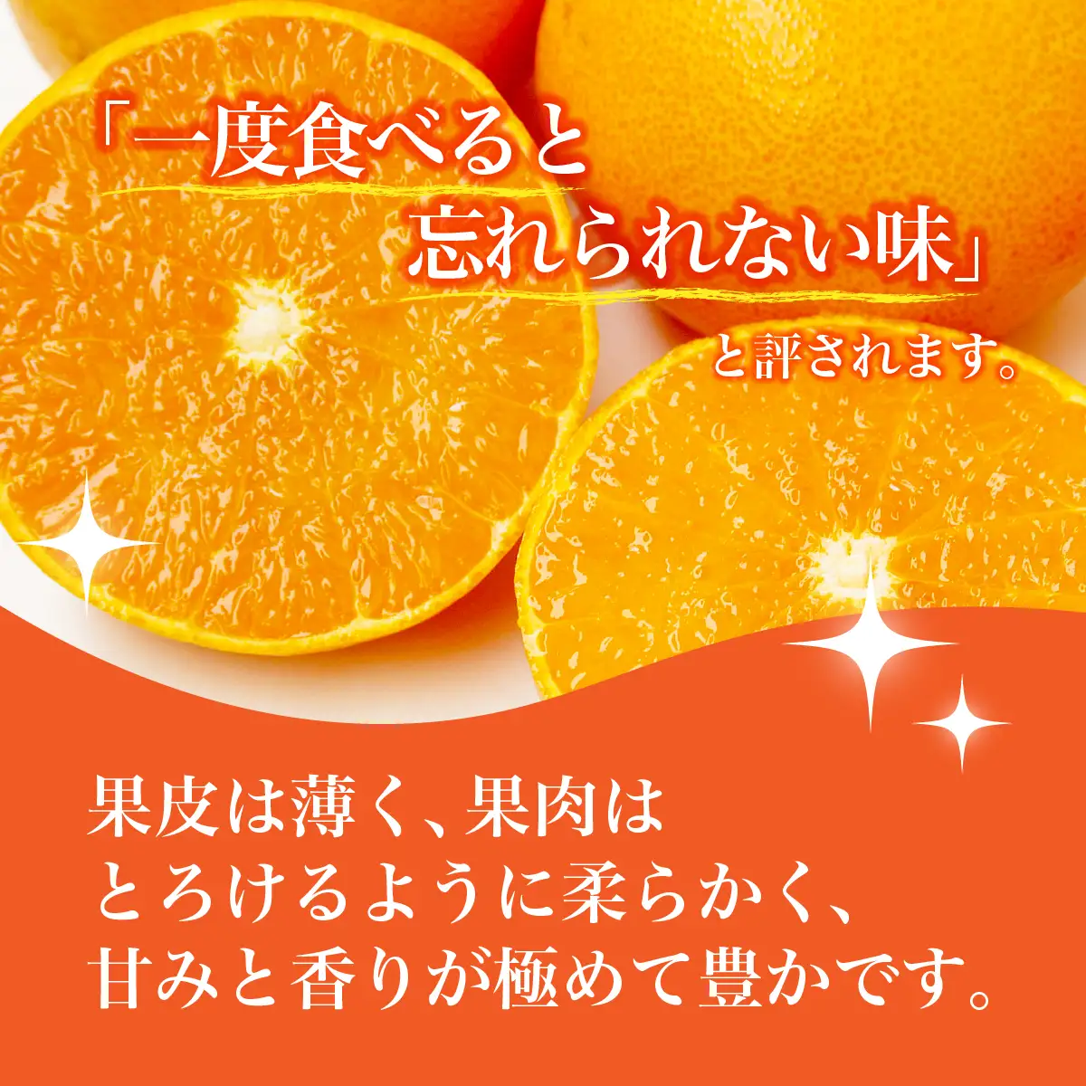 みかん せとか 化粧箱 3L～Lサイズ 10～15玉