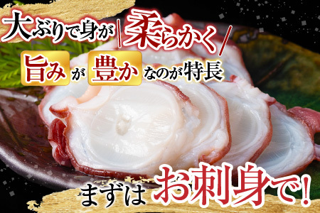 【北海道根室産】ボイルたこ足(水蛸)ブロック3切(計1kg前後) A-20003