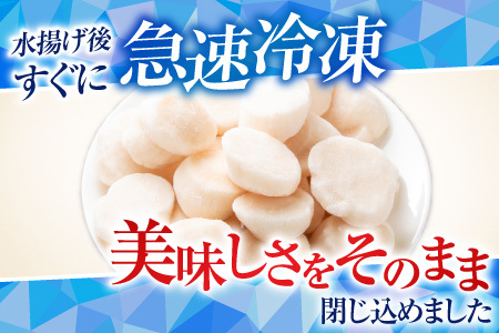 ＼漁業者応援品／【北海道根室産】お刺身ほたて貝柱500g A-42125