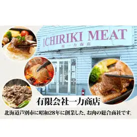 一力商店 バーベキューセット スタンダード セット 詰め合わせ 味付け肉 味付き肉 牛肉 豚肉 牛 豚 肉 お肉 焼き肉 焼肉 バーベキュー アウトドア キャンプ ロース 上ホルモン ホルモン 牛さがり 牛カルビ 豚サガリ とんじんかん 北海道 芦別市