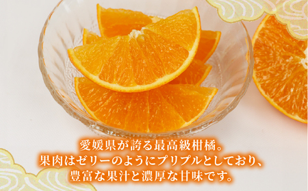 【愛果28号】 愛果28号 5kg 矢野青果 B014-171003