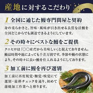 国産 うなぎの蒲焼き 特大 180g  タレ・山椒付［1-2人前］