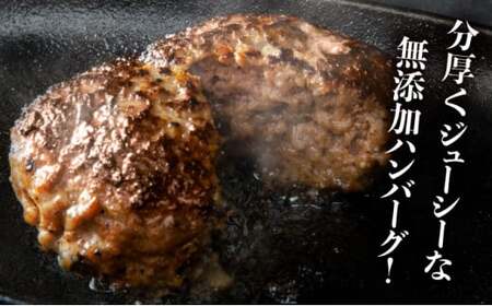 佐賀牛入りハンバーグ がばいばーぐ 12個（140g/個） ハンバーグ