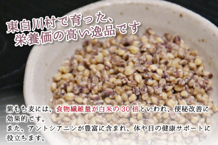 【令和7年度産】 東白川村産 紫もち麦 ダイシモチ 150g×3袋 計450g お米 こめ もち麦 雑穀 精米 ご飯 お取り寄せ