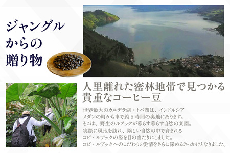 [№40-3241]幻のコーヒー　コピ・ルアック 100g【粉に挽く】