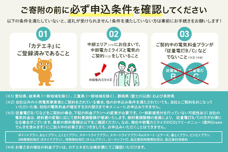 大台町産CO2フリーでんき 100,000円コース（注：お申込み前に申込条件を必ずご確認ください） ／中部電力ミライズ 電気 電力 三重県 大台町
