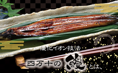 26-006．四万十川優化イオンうなぎ蒲焼2尾（ボイル肝、たれ付き）