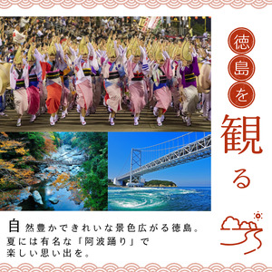 共通宿泊補助券 30,000円分 徳島 宿泊