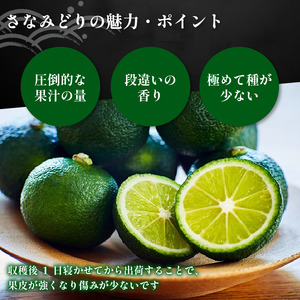 すだち 1kg さなみどり 8月から10月末まで発送 すだち