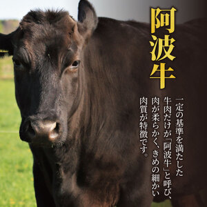 牛肉 スライス 阿波牛 600g のべ牛 牛肉
