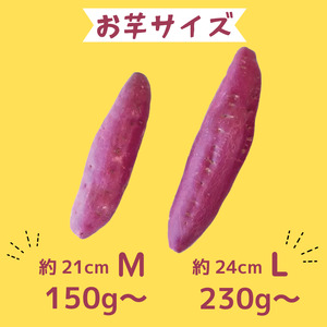 なると金時 Lサイズ 5kg 1月発送 さつまいも なると金時