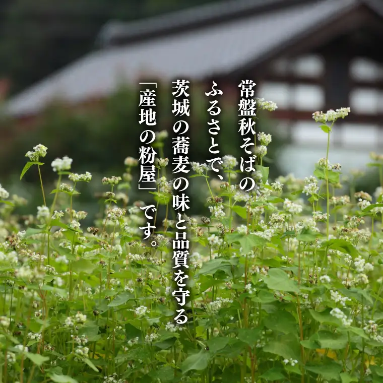 石臼びき常陸秋そば 1kg【茨城県共通返礼品／常陸太田市】（秋ー5）（FY-2）