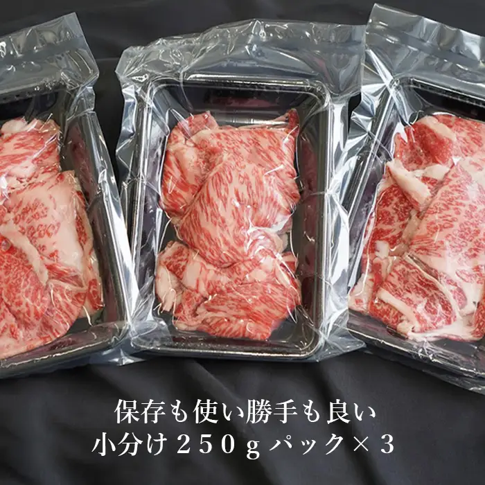 【定期便6ヶ月】 淡路牛 ロース切り落し 750g (250g×3パック)　切り落し