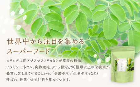 モリンガ茶　30パック×2袋セット 紅茶 ハーブティ