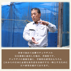 【数量限定】国産キャビアVoeu-Pense【茨城県共通返礼品/河内町】（GQ-1）