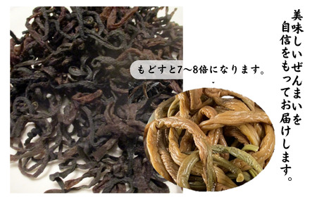 令和8年産 太くて柔らかい干しぜんまい 300g 新潟県 糸魚川市 鉾ヶ岳山麓のぜんまい ゼンマイ 山菜 乾燥ぜんまい 2026年産