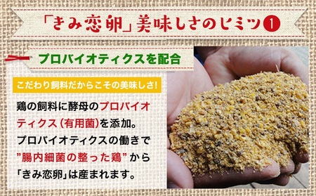 新鮮赤卵「きみ恋卵」85個_AO-2901_(都城市) 赤卵 きみ恋卵 Ｍサイズ 85個 90個 卵かけご飯 ゆで卵 お菓子作り