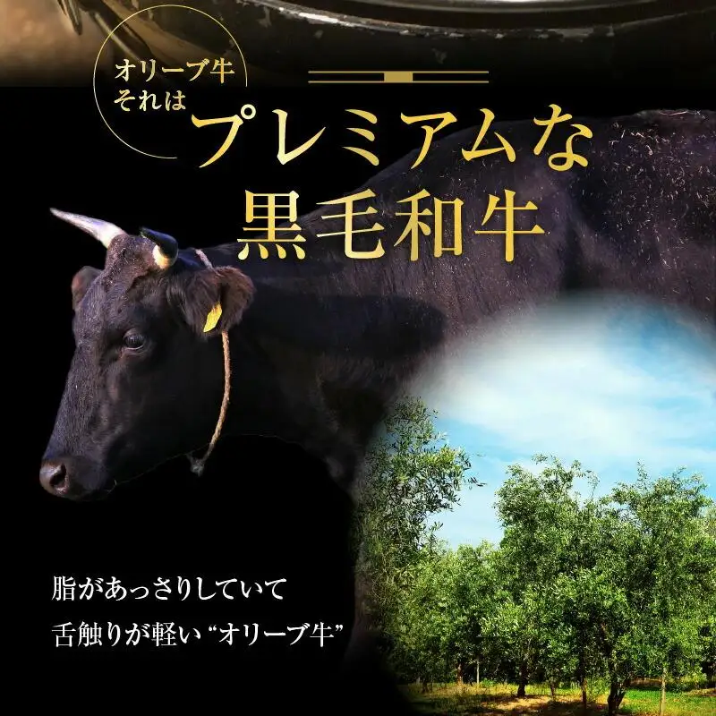 オリーブ牛 焼肉二種食べ比べセット ｜ お肉 オリーブ 牛肉 焼肉 牛 食べ比べ オリーブ牛 美味しい 人気 おすすめ