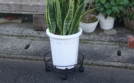 キャスター付鉢のせ台 S 植木鉢台 室内利用可 屋外 園芸用品  [株式会社オビタス] 【010S391】
