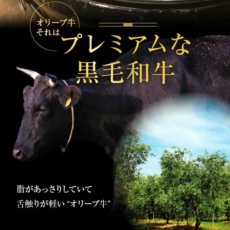 オリーブ牛 焼肉三昧セット｜ お肉 オリーブ 牛肉 焼肉 牛 オリーブ牛 美味しい 人気 おすすめ
