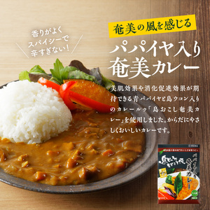 鶏飯 ・ パパイヤ 入り 奄美 カレー セット A003-006 レトルト 総菜 惣菜 島料理 伝統料理 ソウルフード おもてなし料理 ごはん 手軽 時短 三環舎 ふるさと納税 鹿児島 奄美市 おすすめ ランキング プレゼント ギフト