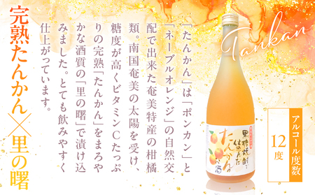 黒糖焼酎 仕込み リキュール 酒 セット すもも酒 ・ たんかん酒 ・ 梅酒  720ml × 3本 A002-001 焼酎 奄美黒糖焼酎 アルコール お酒 あまみ梅酒 黒糖 奄美すもも 黒の曙 飲みやすい 柑橘類 南高梅 詰め合わせ 詰合せ 奄美の恵み 酒セット 町田酒造 美味しい おいしい 家飲み 宅飲み ロック 水割り 奄美大島 奄美 鹿児島 鹿児島県 大野商会 ふるさと納税 奄美市 おすすめ ランキング プレゼント ギフト