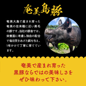 【奄美島豚】鍋セット 1.5kg（鶏飯スープ付き） A011-002 豚肉 豚バラ 豚肩ロース 豚もも肉 脂身に旨み 濃厚 鶏飯スープ 奄美 島豚 黒豚 冬 鶏飯 小分け 鍋セット