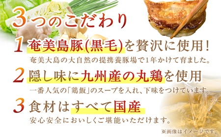 こだわりの 奄美 島豚 餃子 A011-007 ギョーザ 奄美島豚 奄美島豚餃子 島豚餃子 大きい 食べ応え おかず つまみ 昼食 夕食 中華 美味しい こだわり 奄美ぐすく農産 ふるさと納税 奄美市 おすすめ ランキング プレゼント ギフト