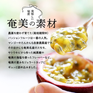 【 La Fonte 】 手づくり ジェラート 奄美 12個 セット A084-002 アイス フルーツジェラート パッションフルーツ マンゴー たんかん スモモ 奄美黒糖 海塩 ジェラートセット 手作り 純黒糖 冷凍便 冷凍 新鮮 甘い 美味しい お任せ LaFonteラフォンテ ふるさと納税 鹿児島 奄美市 おすすめ ランキング プレゼント ギフト