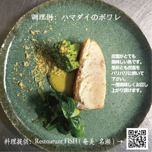 高級魚「ハマダイ（オナガ）」切り身 500g（甘塩）奄美大島老舗鮮魚店が加工製造 A128-004 小分け 真空パック ハマダイ 高級魚 オナガ 白身 甘塩