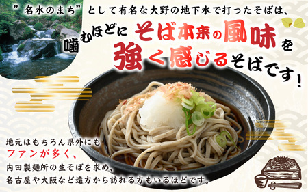 【3ヶ月定期便】生そば 10食 × 3回 計30食 つゆ付｜越前そば  大野  名水  石臼挽き