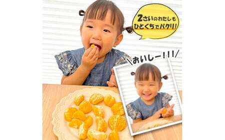 A214 ひとくちむかん 1.5kg