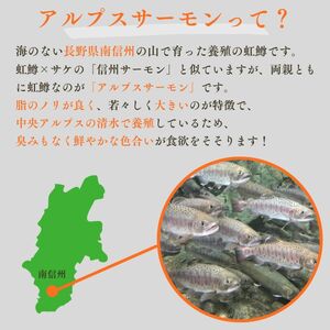 【南信州産】アルプスサーモン(ブロック) 200g×2袋