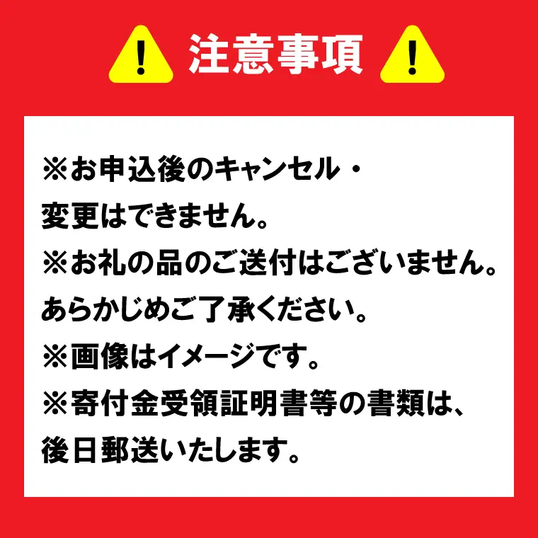 【返礼品なし】 茨城県 水戸市 ふるさと応援寄附金 ( 3,000円 )(GT-2)