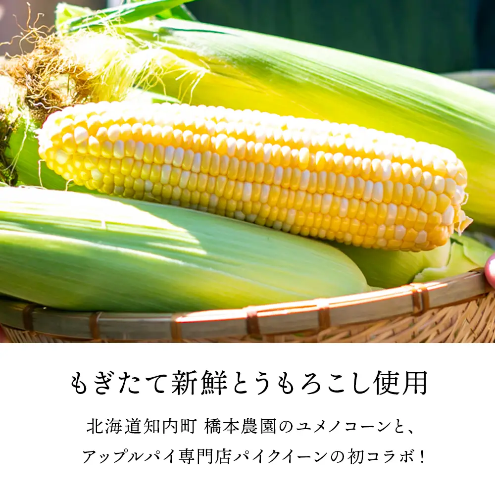 北海道知内町 橋本農園産ユメノコーンのとうきびパイ6個入