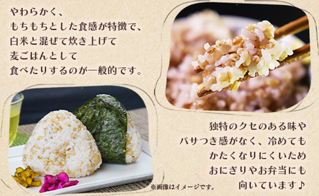 ダイシモチ もち麦 900g×3袋 食物繊維 もち麦 yr-0065