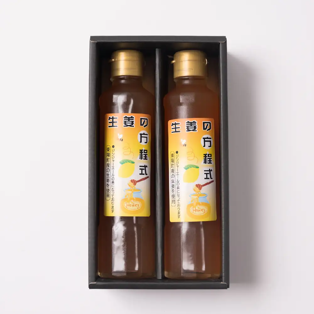 生姜の方程式 合計400ml (200ml×2本) 蜂蜜生姜シロップ ジンジャーエールの素 しょうが ショウガ 温活 冷え対策 ドリンク 熊本県 八代市