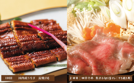 26-068．【7ヵ月連続定期便】四万十市人気魚介＆お肉返礼品