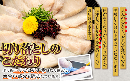 【訳あり】ブリ切り落とし約1kg南予ビージョイブリ|D012-150002