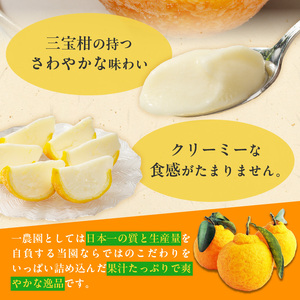 ZP6009n_まるごと三宝柑シャーベット 5個 セット