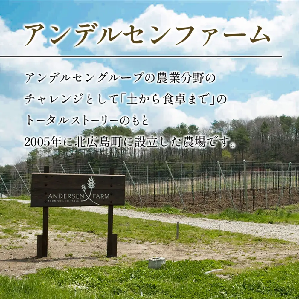 広島アンデルセン　スパイシービーフカレー（芸北りんご入り）5袋セット AN008_011