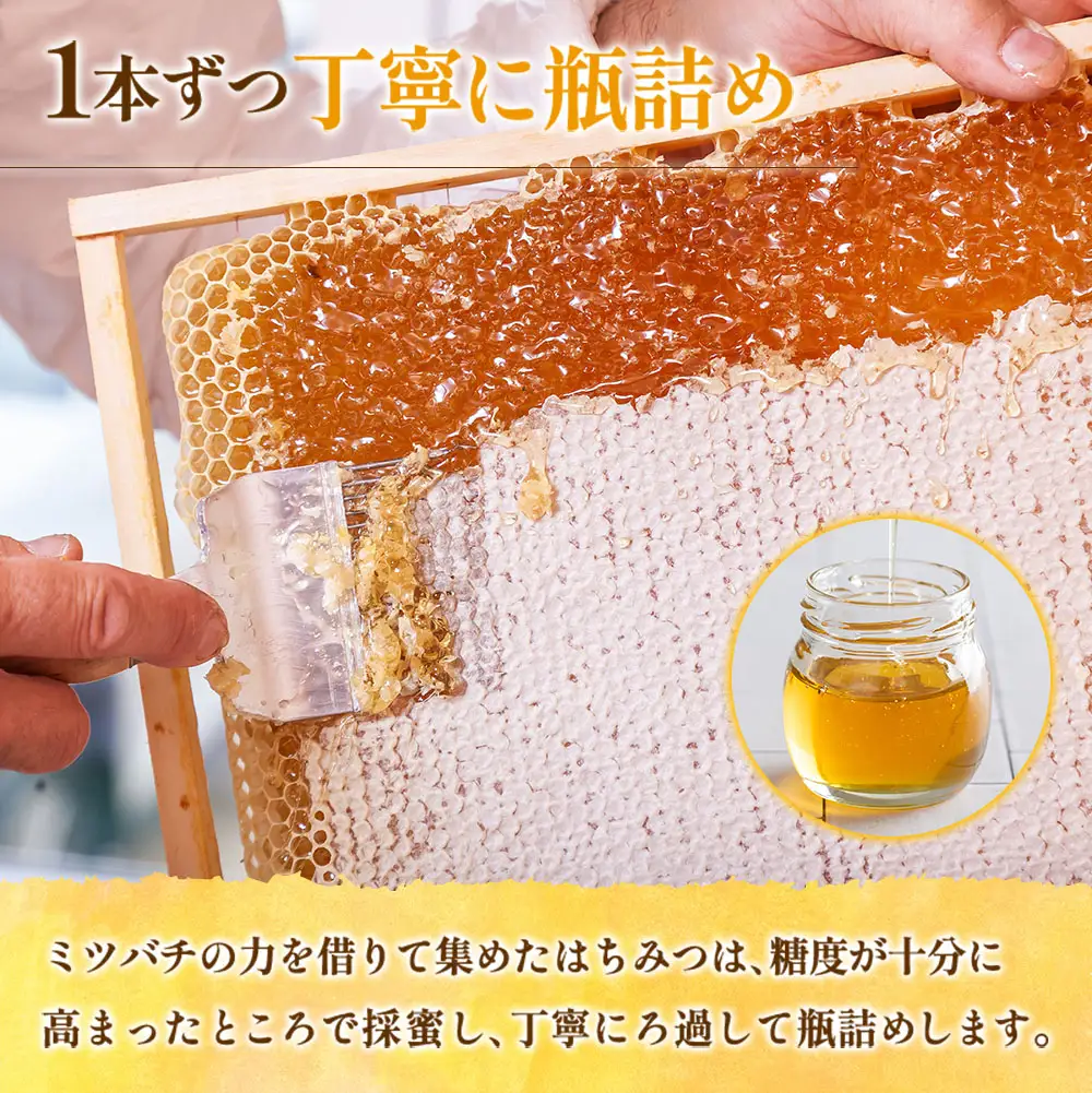 広島アンデルセン　アンデルセンファームのはちみつ（300g×2本セット） AN008_014