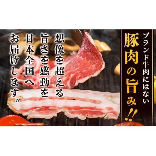 【3回定期便】石垣島産 やえやまファームのアグー豚の 3回定期便（3月、7月、11月お届け）｜南ぬ豚 アグー豚 焼肉 食べ比べ 豚肉 石垣 石垣島 沖縄 八重山 やえやまファーム  E-30-1