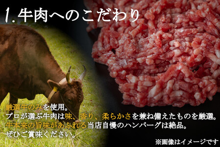 （冷凍） 国産牛肉100％ 食べ応え満点 手作り・手ごね ハンバーグ 750g ／ 歩商事 自家製タレ 贈答用 ギフト 奈良県 田原本町