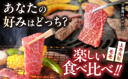 【焼き肉満喫セット】モモ 上カルビ 総計1.8kg 長崎和牛 A4?A5ランク【野中精肉店】 [VF59] 肉 牛肉 赤身 もも カルビ 焼肉