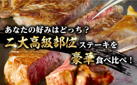 【全3回定期便】【二大高級部位！】サーロイン と ヒレ ステーキ 計700g （各4枚） 長崎和牛 A4?A5ランク 希少部位【野中精肉店】 [VF66] 肉 牛肉 赤身 サーロインステーキ ヒレステーキ 焼肉 定期便
